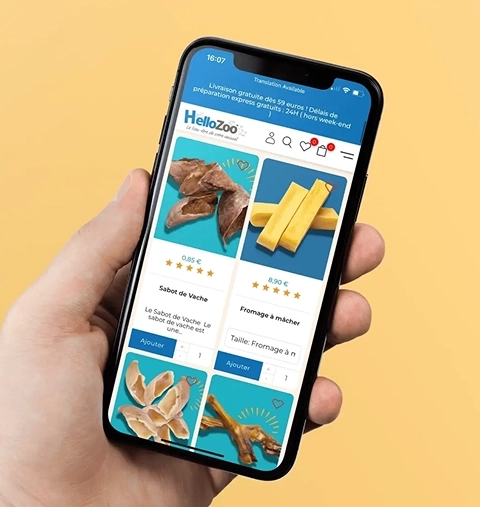 Hellozoo website mockup